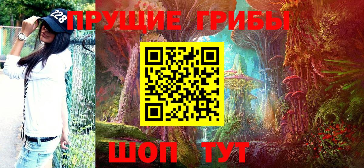 Псилоцибиновые грибы прущие грибы Кумертау