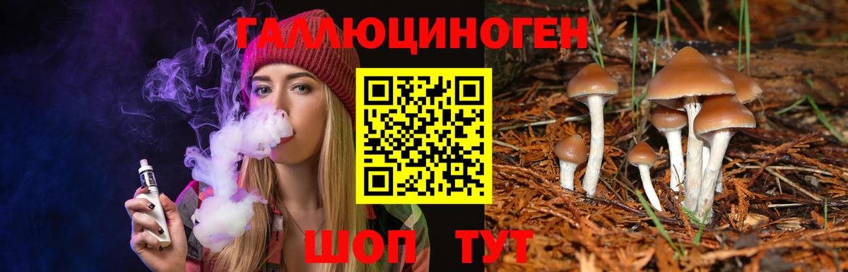 Псилоцибиновые грибы MAGIC MUSHROOMS  Вход с VPN  Кумертау  Псилоцибиновые грибы прущие грибы 